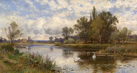 Scène de rivière avec cygnes